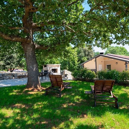 Villa Old Oak Holiday House Rovinj Exterior foto